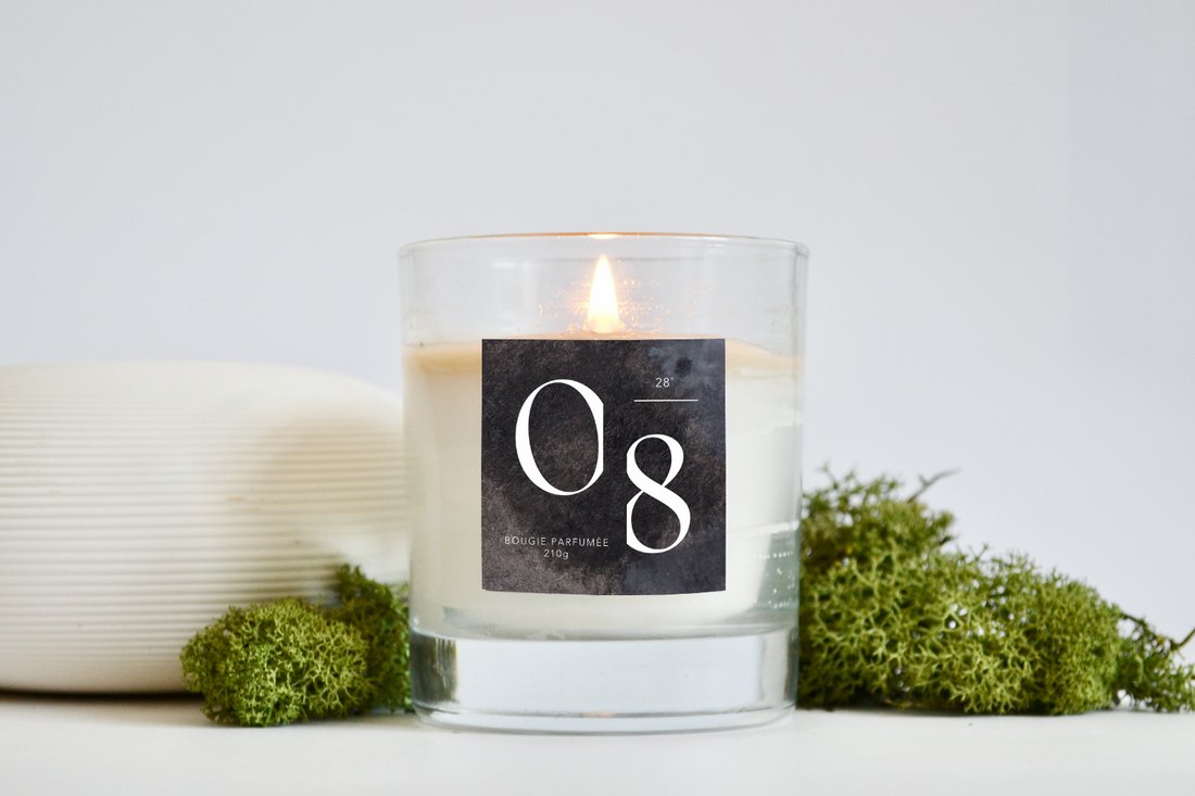 Coconut Wax vs Soy vs Paraffin Candles: Which is Best for Your Home?