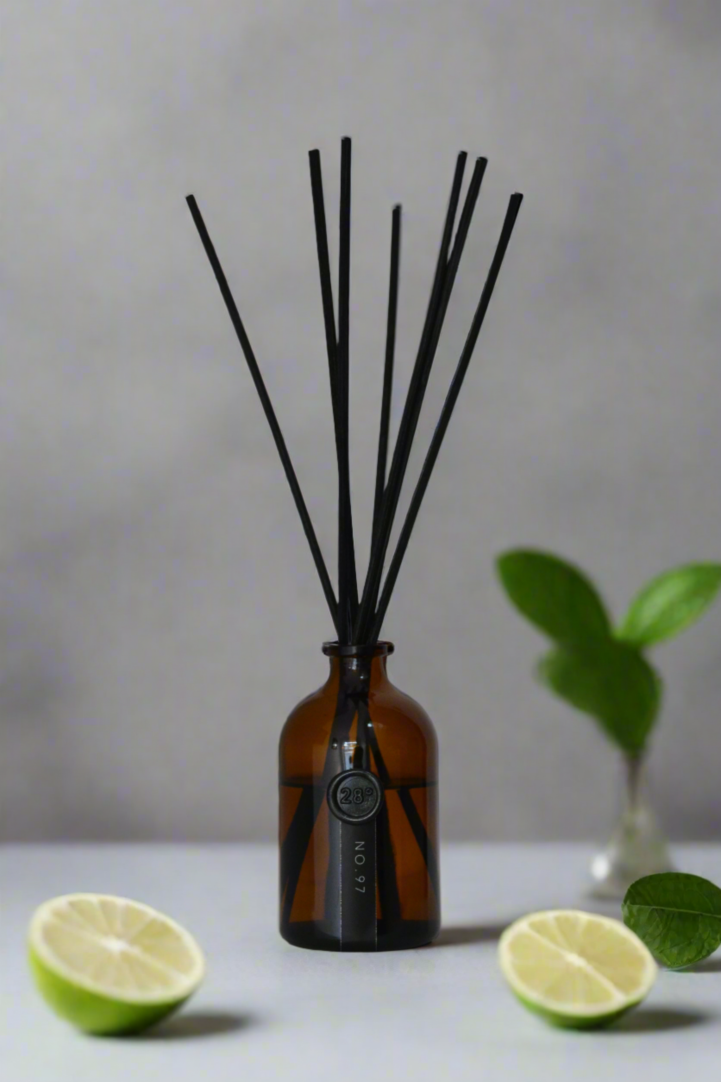 Fragrance Diffusers