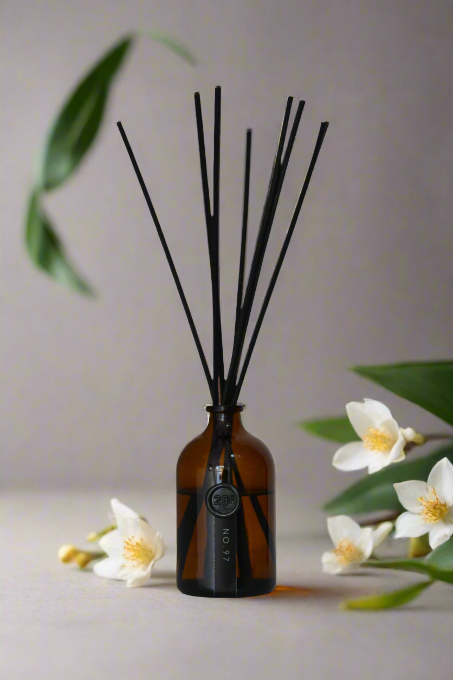 Fragrance Diffusers